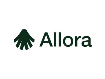 Allora: What the Data Reveals