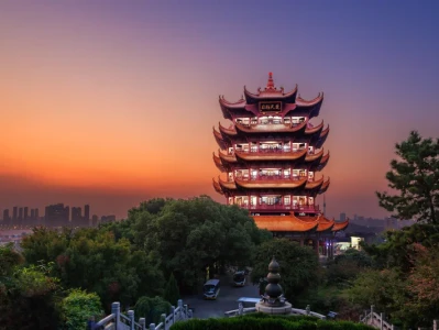 Wuhan: Bio-Smuggling Charges and Tournament Wins