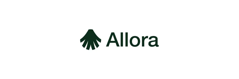 Allora: What the Data Reveals